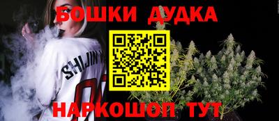 индика Гагарин